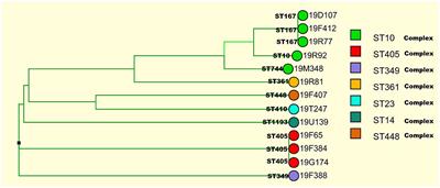 Molecular epidemiology and comparative genomics of carbapenemase-producing Escherichia coli isolates from 19 tertiary hospitals in China from 2019 to 2020